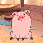 집에<b>가즈</b>아
