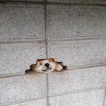 [개급해] 남친<b>백일</b>선물 추천해주면 복받음 ㄹㅇ 제발