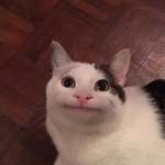 [댓글부탁해] 니네 남친이랑 제일 <b>진도</b> 많이 나간 게 뭐임 ??