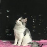 여기서 <b>타인</b>은 지옥이다 보는 사람?