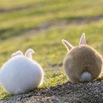 [방탄소년단] 안녕 난 머글..