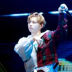 [강다니엘] 강다니엘 캥거루 라이브감 오져