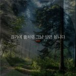 [좋은글귀] 길가에 풀처럼 그냥 살면 됩니다.