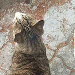 [댓글부탁해] <b>문지현</b> 이라는 이름 ㅇㄸ