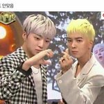 [추반] 이런 눈이면 <b>유</b><b>쌍</b>이라 생각함 무<b>쌍</b>이라 생각함?