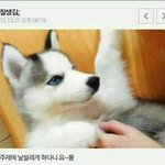 동방<b>예대</b> 가고싶은데