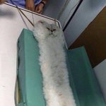 [댓글부탁해] '나'하면 이거지 내가 잘하는 거 시원하게 말하고...