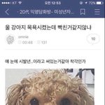 나 지금 <b>탈색</b>중이당!!