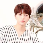 인하대 어느 정도 수준이야?