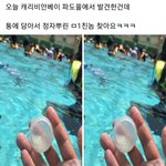 우리 이제 수영장도 맘대로 <b>못</b><b>가</b>