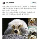 [댓글부탁해] 얘드라 나 오늘 <b>놀이</b>공원 면접가는데