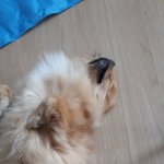 아 진짜 덥다