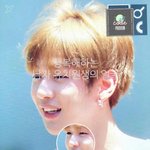 [강다니엘] 강다니엘 <b>행복지수</b> 맥스