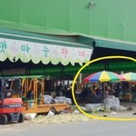 [개깊은빡침] <b>가락시장</b>옥수수판매하는곳ㅜㅜ