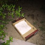 [고양이] 퇴근하는 길에 만난 우리 <b>고냥</b>이