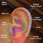 귀피어싱 궁금한 사람 들어와