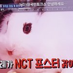 [NCT] 엔시티 <b>포스터</b> 갉아먹은 토끼
