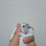 [드루와] <b>짝남</b>한테 설레는 순간