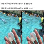 케리비안<b>베이</b> 정액캡슐 사건