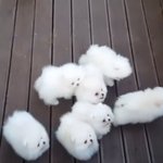나 ㄹㅇ 연락하는애가 없는데