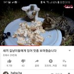 [댓글부탁해] 다들 유튜버 추천 해 보자!