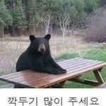 [드루와] <b>옆테</b> 예쁜애들 개부럽다