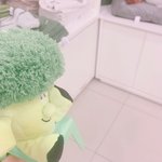 이거 <b>인형</b> ㅈㄴ기엽지