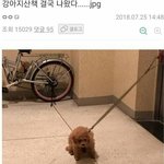 [댓글부탁해] 지금 조회수 개오<b>지네</b>