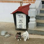 이렇게 <b>혼란</b>스러운 상황속에서도