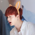 <b>성재</b> 주토피아 닉 됐다;;;;