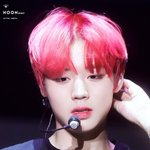 박지훈은 <b>체리</b>같은데 하성운은 딸기같애