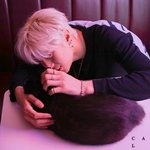 [LEO] 큰 <b>고양이</b>와 작은 <b>고양이</b>ㅎㅎ
