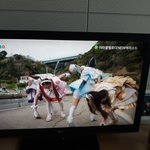 [댓글부탁해] <b>일본</b> 히어로<b>물</b> 보는데 ㅈㄴ병맛이넼ㅋㅋㅋ
