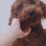 <b>울집</b> 갱애쥐