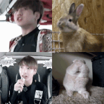 [방탄소년단] <b>아미</b>들아