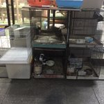 [드루와] 뭐지 조류매장에서 비둘기 <b>판다</b>;;