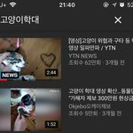 [댓글부탁해] 고양이 학대한 이사람 어케됨..??