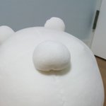 [EXO] 왈왈이 받음