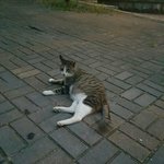 [댓글부탁해] 이사람 표정 <b>개힙</b>하지않냐