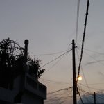 얘들아 나 지금 <b>산책</b> 중