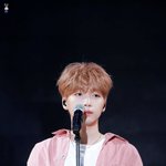 [모두드루와] 몽가 댕댕이같아ㅜㅜㅜㅠㅡㅜㅠㅠㅜ