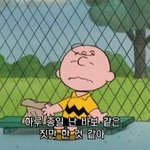 [조언부탁해] 짝남이 내 프사만 보고 <b>반함</b>
