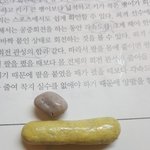[EXO] <b>석이</b>시대먹는데 초콜릿 개큰거 발견함