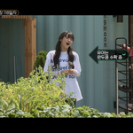 오마이걸 <b>식량</b>일기 나온거 보신분~