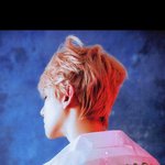 [EXO] 백현이배경