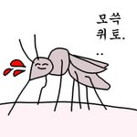 [드루와] 눈 작고 피부 더럽고 주걱턱인데 예쁠 수 있어?