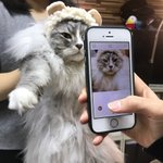 이제좀  <b>안정</b>찾아야지