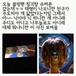 나만 이거 신경 <b>쓰임</b>?