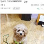 [댓글부탁해] 사장 말 주작같다 진짜같다 추반좀