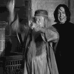 해리포터 같은 시리즈 또 나올까..